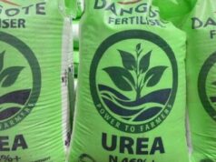 Dangote Fertiliser, which started commercial operations in 2022, exports around 1.1 million metric tonnes—roughly 37% of its total output—to the U.S. The company plays a central role in Nigeria’s broader effort to diversify its economy beyond oil.