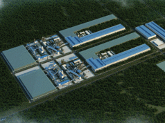 Dinson Iron and Steel Company at its newly operational plant near Chivhu.