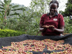 Meridah Nandudu, the founder of Bayaaya Speciality Coffee, built a growing coffee chain by working on a simple formula that women brought to her for sale can fetch a premium price slightly higher than men.