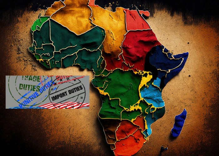 Beyond Tariffs: How Africa Can Build Economic Resilience from Within Beyond Tariffs: How Africa Can Build Economic Resilience from Within