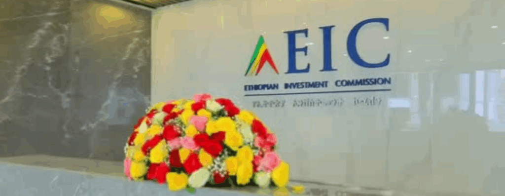 Ethiopia Attracts USD 4 bn in FDI Amid Economic Strains, Signaling Strategic Resilience and Reform