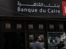 Egypt’s Privatization Program on a High Drive: Report Egypt’s Privatization Program on a High Drive: Report