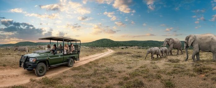 SA Kick Starts Program to Promote African Tourism in India