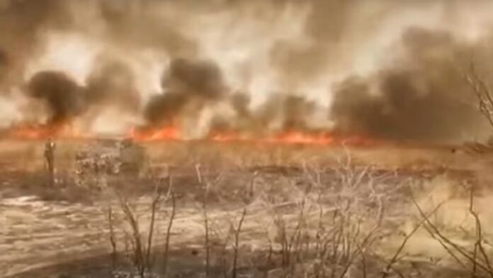 Namibia: Wildfires Devastate One-Third of Etosha National Park, Threatening Wildlife and Regional Conservation