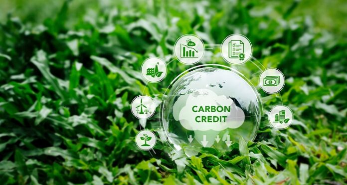 Zimbabwe Issues First Article 6 Carbon Credits with Corresponding Adjustments, Marking Milestone for Africa in Global Carbon Markets