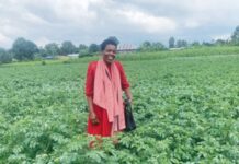 Rwanda Boosts Food Output by 2.6% in 2025 Season B Despite Shrinking Farmland Rwanda Boosts Food Output by 2.6% in 2025 Season B Despite Shrinking Farmland