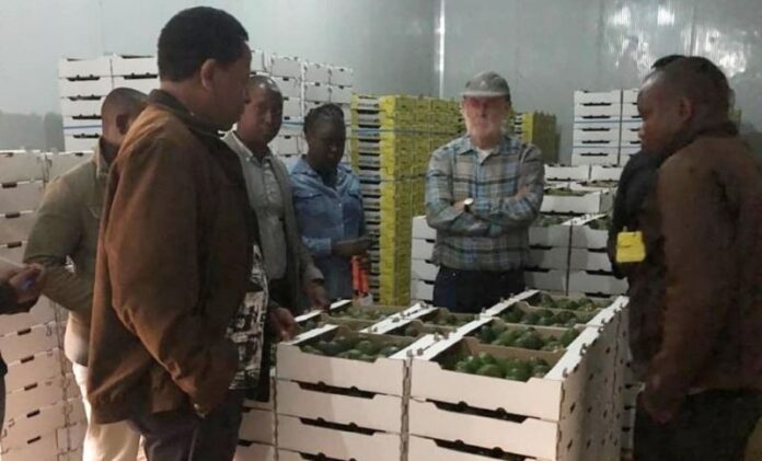 TAHA Unveils HortiMarket: A Digital Platform Revolutionizing Tanzania’s Horticultural Trade