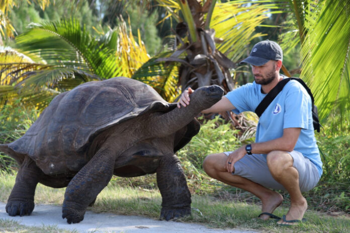 Seychelles Reintroduces Aldabra Giant Tortoises to North Island in Major Conservation Milestone