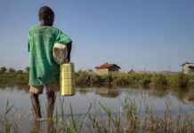 Africa Faces Cholera and Marburg Threats Africa Faces Cholera and Marburg Threats