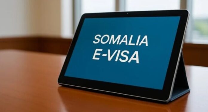 Somalia’s e-Visa System Breached
