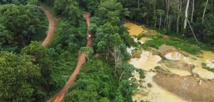 Ghana’s Environmental Groups Up Against Illegal Mining