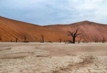 Namibia’s Economic Growth Set to Slow in 2025 Amid Sectoral Weaknesses and Drought Impacts Namibia’s Economic Growth Set to Slow in 2025 Amid Sectoral Weaknesses and Drought Impacts