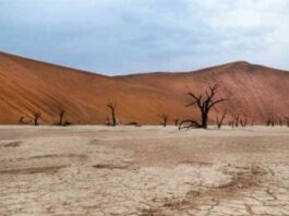 Namibia’s Economic Growth Set to Slow in 2025 Amid Sectoral Weaknesses and Drought Impacts Namibia’s Economic Growth Set to Slow in 2025 Amid Sectoral Weaknesses and Drought Impacts