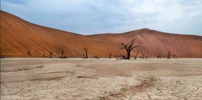 Namibia’s Economic Growth Set to Slow in 2025 Amid Sectoral Weaknesses and Drought Impacts