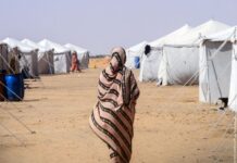 Amnesty Report: “RSF Carried Out Mass Executions, Rape, and Abductions After Seizing El Fasher, Survivors Say” Amnesty Report: “RSF Carried Out Mass Executions, Rape, and Abductions After Seizing El Fasher, Survivors Say”