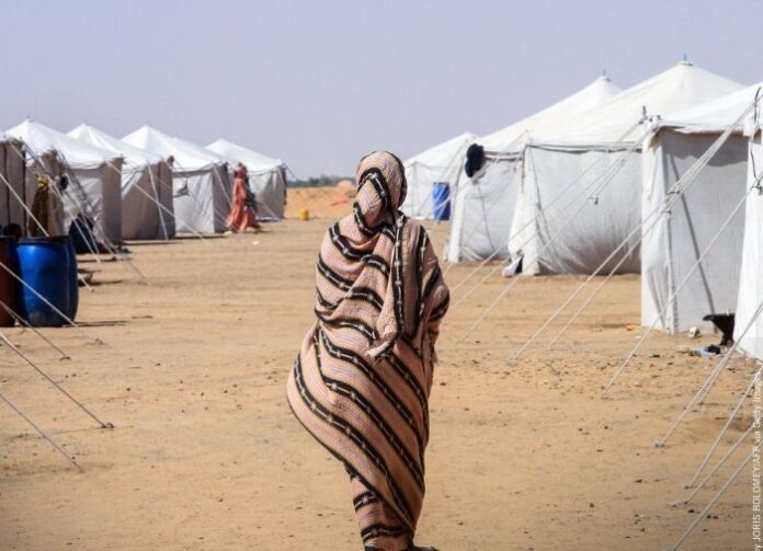 Amnesty Report: “RSF Carried Out Mass Executions, Rape, and Abductions After Seizing El Fasher, Survivors Say”