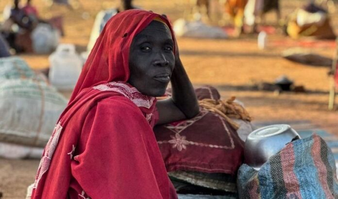 Pope Leo XIV Renews Appeal for Ceasefire in Sudan Amidst Killings of Non-Arab Civilians: Expresses Concerns About Post-Election Violence in Tanzania