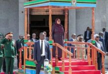 Tanzania Fasttrack Image Building Exercise After Post-Election Violence to Mop Up Funds for Development Works Tanzania Fasttrack Image Building Exercise After Post-Election Violence to Mop Up Funds for Development Works