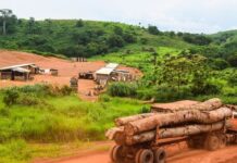 Africa’s Rainforests Shift from Climate Shield to Carbon Emitter, Urging Immediate Global Action Africa’s Rainforests Shift from Climate Shield to Carbon Emitter, Urging Immediate Global Action