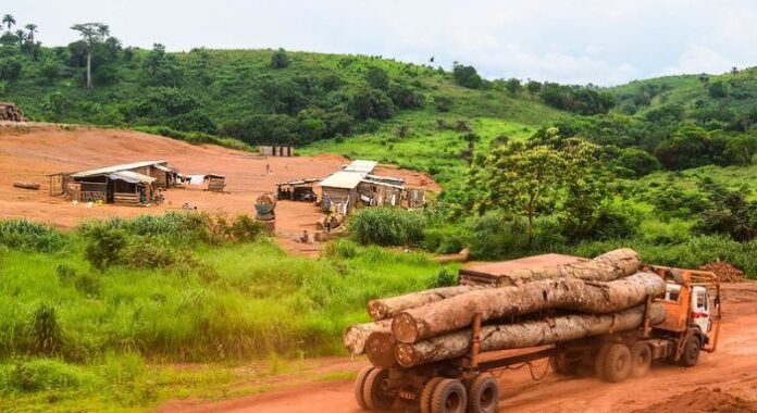 Africa’s Rainforests Shift from Climate Shield to Carbon Emitter, Urging Immediate Global Action