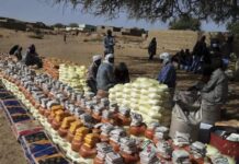 UN Efforts to Fight Hunger in Sudan Showing Results: But Miles to Go Reach Target UN Efforts to Fight Hunger in Sudan Showing Results: But Miles to Go Reach Target