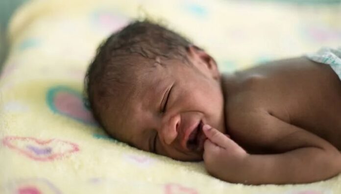 Cameroon’s Critical Shortage of Incubators Puts Thousands of Newborns at Risk