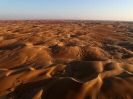 IMO Warns of Rising Temperatures in Arab Region IMO Warns of Rising Temperatures in Arab Region