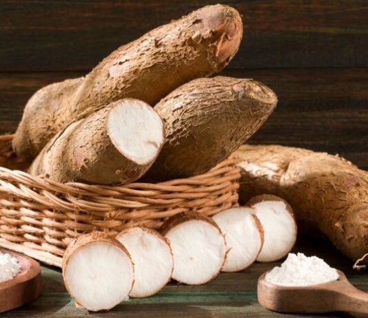 India’s Growing Demand for Cameroonian Dehydrated Cassava Opens New Economic Prospects India’s Growing Demand for Cameroonian Dehydrated Cassava Opens New Economic Prospects