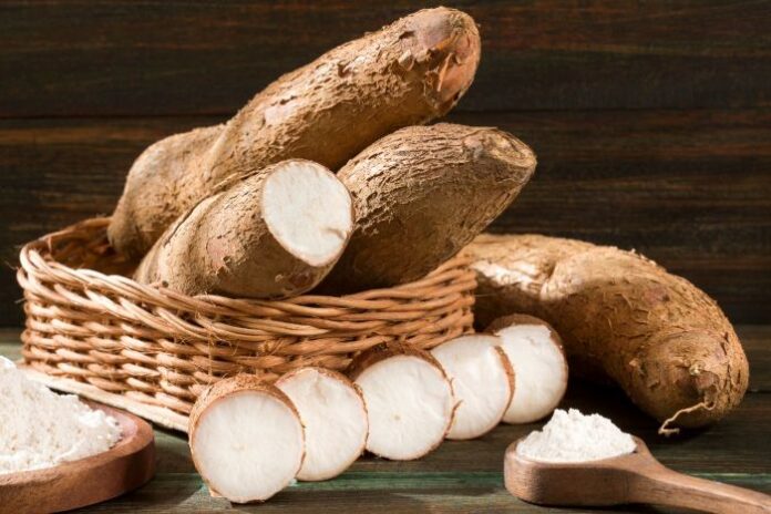 India’s Growing Demand for Cameroonian Dehydrated Cassava Opens New Economic Prospects