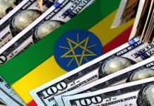 Strike Rate of FDI in Ethiopia Less than 40% Strike Rate of FDI in Ethiopia Less than 40%