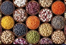 Ethiopia Issues New Guidelines to Exporters of Oilseeds and Pulses Ethiopia Issues New Guidelines to Exporters of Oilseeds and Pulses