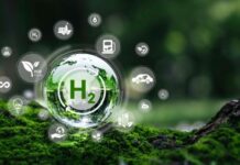 Egypt Set to Evolve Packages for Investments in Green Hydrogen Egypt Set to Evolve Packages for Investments in Green Hydrogen