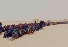 Libya to Deport Irregular Migrants as Europe Tightens Entry Libya to Deport Irregular Migrants as Europe Tightens Entry