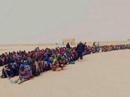 Libya to Deport Irregular Migrants as Europe Tightens Entry Libya to Deport Irregular Migrants as Europe Tightens Entry