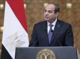 Germany and Egypt Insist on Full Implementation of First Phase of Ceasefire Germany and Egypt Insist on Full Implementation of First Phase of Ceasefire