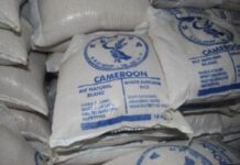 Cameroon: Semry Explores Future Options for Rice Processing Mills Amidst Financial Restructuring Cameroon: Semry Explores Future Options for Rice Processing Mills Amidst Financial Restructuring