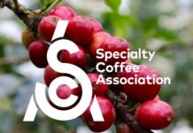 Ethiopia Forms Specialty Coffee Association Ethiopia Forms Specialty Coffee Association