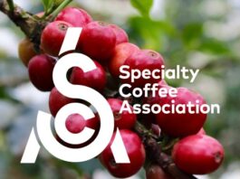 Ethiopia Forms Specialty Coffee Association Ethiopia Forms Specialty Coffee Association