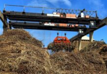 Sugar Sector in Ethiopia in Distress: Study Sugar Sector in Ethiopia in Distress: Study